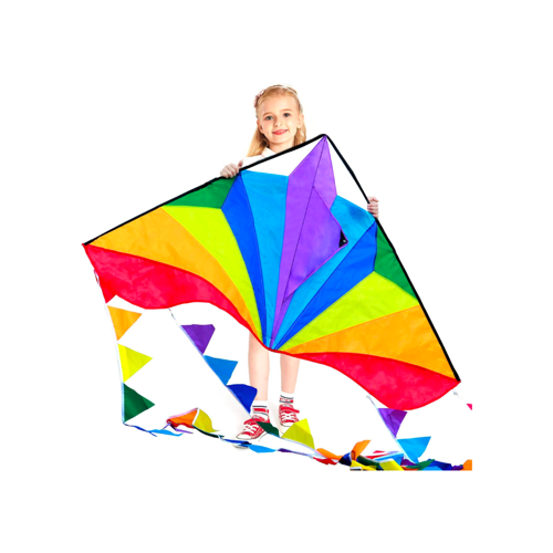 Kite with Colourful Tail